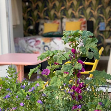B&B Bij Kaatt Wolphaartsdijk Dış mekan fotoğraf